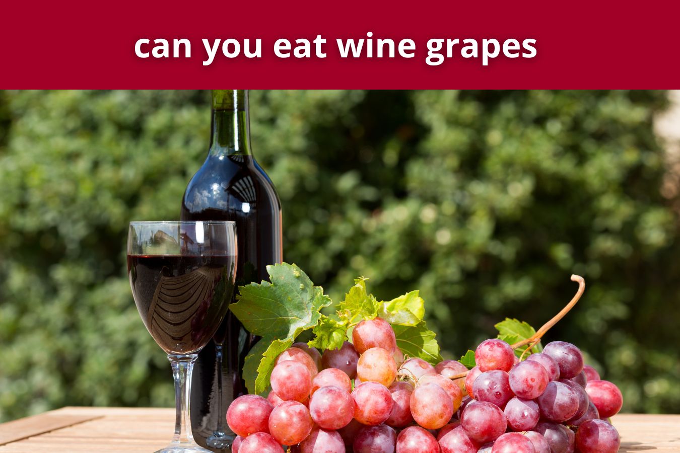 can you eat wine grapes