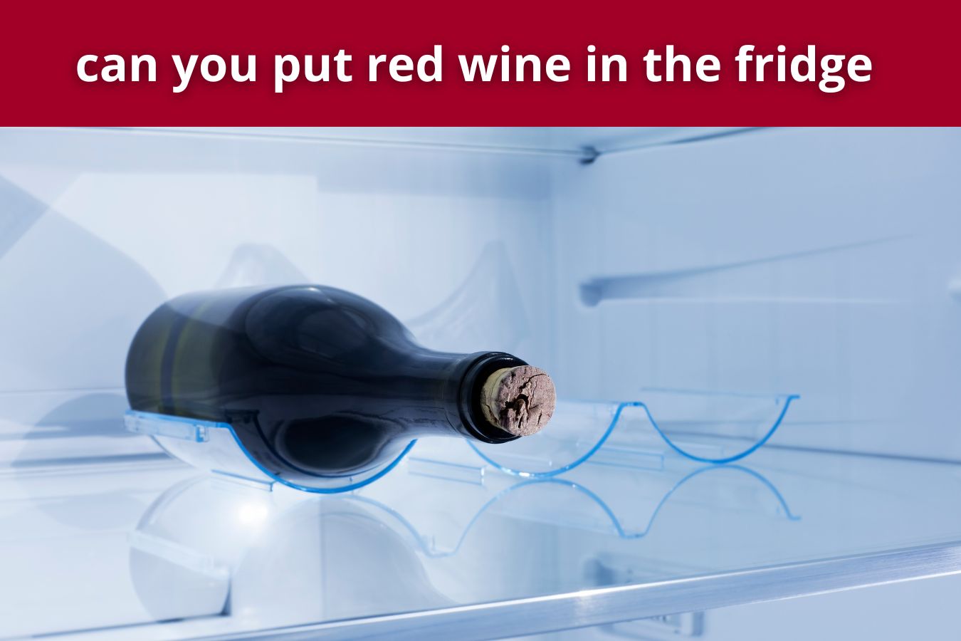 can you put red wine in the fridge